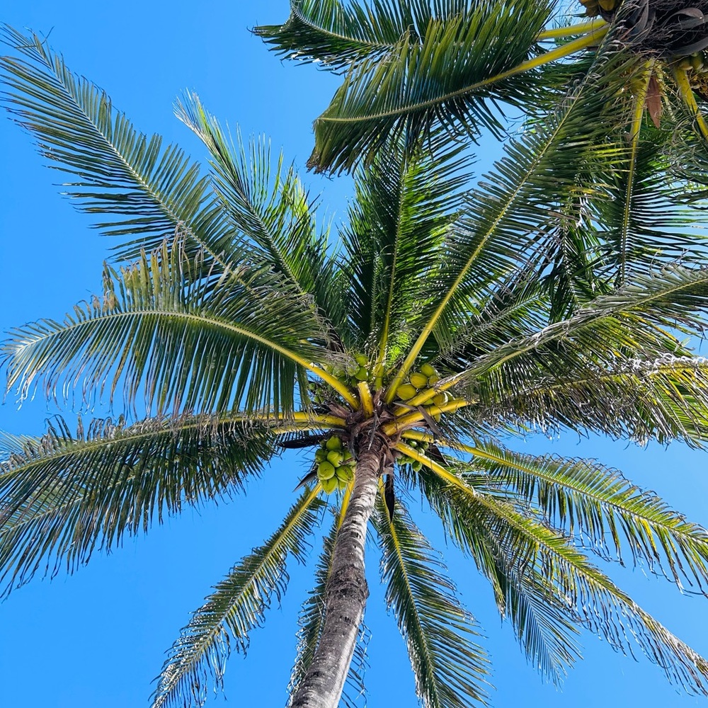 Meet your Posher, Mihaela